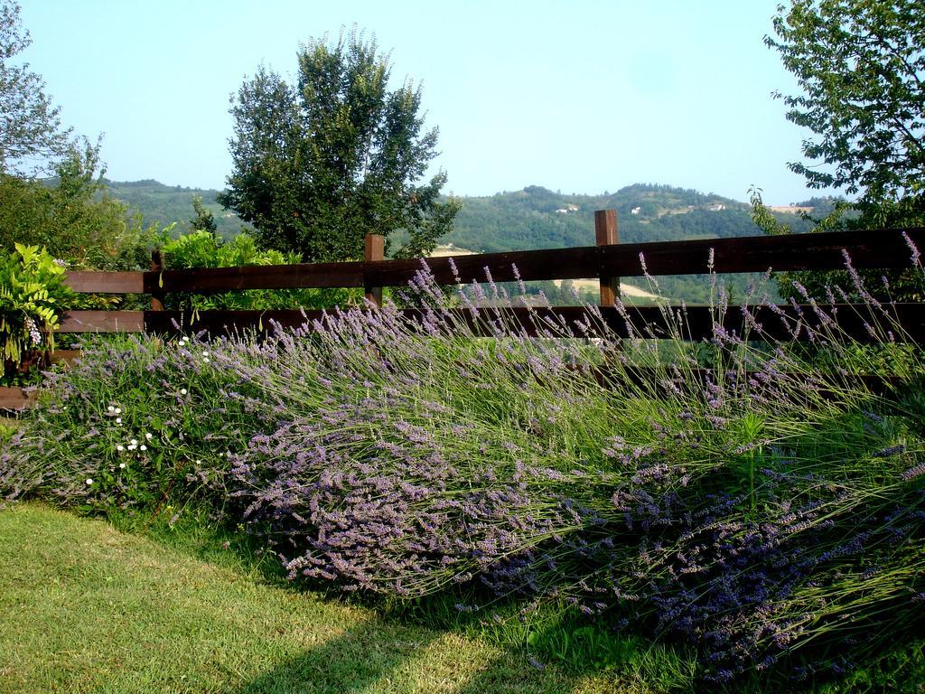 Cascina Ciosse B&B Grognardo Rum bild