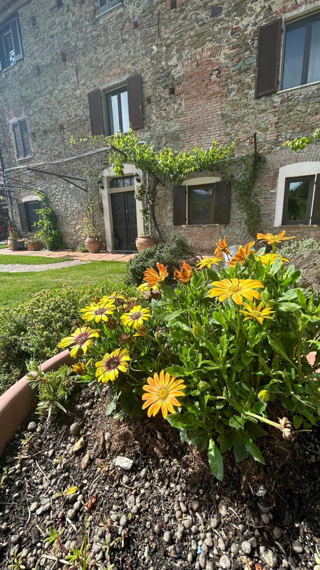 Cascina Ciosse B&B Grognardo Exteriör bild